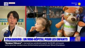 Strasbourg: "l'hôpital de mon doudou", pour dédramatiser l'hospitalisation des enfants