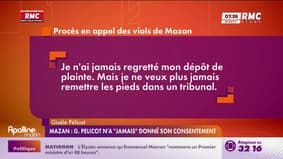 Viols de Mazan : Gisèle Pélicot n'a "jamais" donné son consentement 