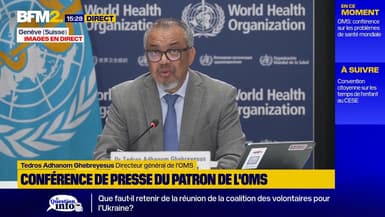 Famine à Gaza: le directeur de l'OMS demande à Israël d'arrêter la "catastrophe"