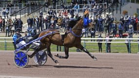 Etonnant sacré dans l'Elitloppet