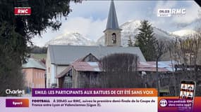 Émile : les participants aux battues de cet été sans voix