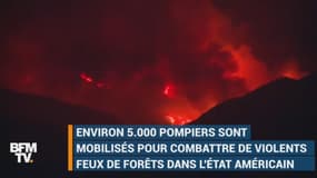 De violents feux de forêt ravagent la Californie