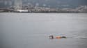 Un nageur se baigne dans la mer méditerranée à Marseille, le 3 janvier 2024