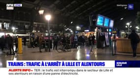 Le trafic des TER interrompu dans le secteur de Lille en raison d'une panne électrique 