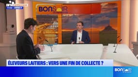 Manche: vers une fin de la collecte de lait?