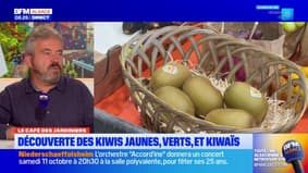 Le Café des Jardiniers: découverte des kiwis jaunes et verts et des kiwaïs
