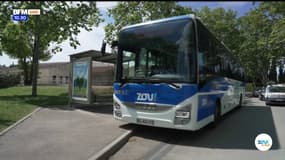 Zou ! Le mag : se déplacer à moindre frais avec la carte Zou ! Solidaire et la région Sud