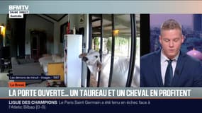 Le break du jeudi 11 décembre 