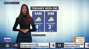 Météo Paris Île-de-France du 15 janvier: Grisaille persistante mais sans pluies aujourd'hui