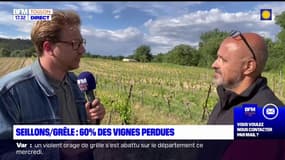 Après l'épisode de gel, la grêle est tombée et a impacté les vignes varoises