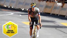 Tour de France (E13) : "On peut gérer le maillot Jaune et le Vert" affirme Laporte