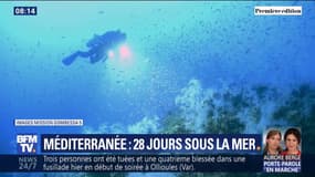 Après 28 jours passés au fond de la Méditerranée, cette équipe de chercheurs retrouve la surface