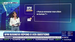 Peut-on emmener son animal de compagnie au travail?