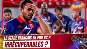 "Il n'y a rien", le constat sévère de Moscato sur le Stade Français
