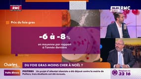 Du foie gras moins cher à Noël? 