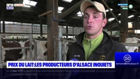 Prix du lait: les producteurs d'Alsace inquiets