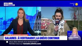 Marquette-lez-Lille: les salariés de Vertbaudet poursuivent leur grève