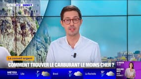 Carburant: grâce à ce site gouvernemental, trouvez facilement la station la moins chère, même en vacances