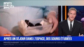 Le break du 24 septembre 