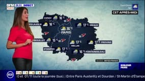 Météo Paris Ile-de-France: un temps instable alternant entre nuages et éclaircies