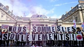 Des manifestants devant le Conseil d'État avant la décision du Conseil d'État sur la dissolution des Soulèvements de la Terre le 9 novembre 2023