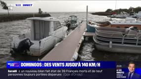  Domingos s'abat sur la France : le point sur la situation en Gironde - 04/11