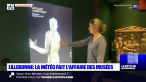 Seine-Maritime: le temps maussade, une aubaine pour les musées
