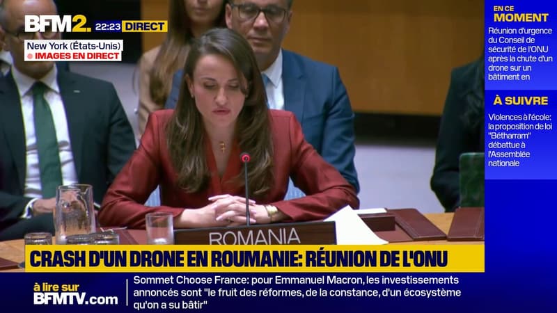"Nos citoyens ont eu besoin de soins médicaux": après le crash d'un drone russe, la ministre des affaires étrangères de la Roumanie s'exprime