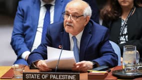 L'ambassadeur palestinien auprès de l'ONU, Riyad Mansour, prononce un discours lors d'une réunion du Conseil de sécurité de l'ONU consacrée à la situation au Proche-Orient, au siège de l'ONU à New York, le 29 avril 2025. (llustration)
