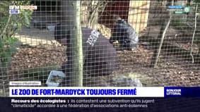 Grippe aviaire: le zoo de Fort-Mardyck à Dunkerque encore fermé quelques jours