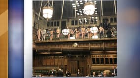 Des activistes d'Extinction Rebellion s'invitent au Parlement britannique, le 1er avril 2019