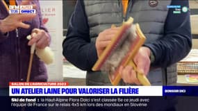 Salon de l'Agriculture: un atelier laine pour valoriser la filière