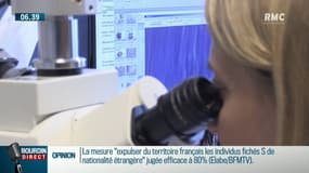 A quoi sert concrètement l'intelligence artificielle? Reportage à l'Institut Curie