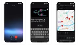 Gemini est désormais disponible en application sur iPhone