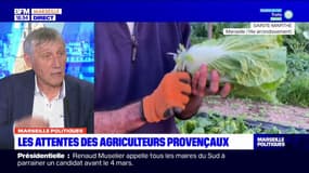 "Il faut consommer local": le président de la chambre d'agriculture des Bouches-du-Rhône, insiste sur l'importance "de privilégier" les circuits courts