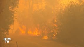 En Californie, l'incendie "Thomas" continue de se propager