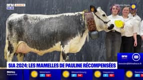 Salon de l'agriculture: une vache alsacienne a remporté le prix des meilleures mamelles