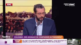Les histoires de Charles Magnien : Le rappeur Jul lance sa gamme de produits pour bébés et  des animaux de compagnie au parlement en Colombie - 30/09