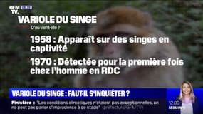 Transmission, symptômes, traitement: ce qu'il faut savoir sur la variole du singe