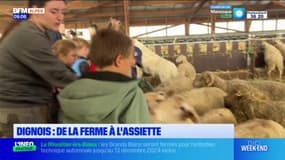 Dignois: des enfants se rendent à la ferme pour découvrir les animaux et l'agriculture