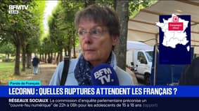 "Au niveau des impôts, que tout le monde paye à hauteur de ce qu'il a": qu'attendent les Français de Sébastien Lecornu?