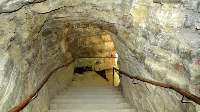 Le marché des caves se porte comme un charme.