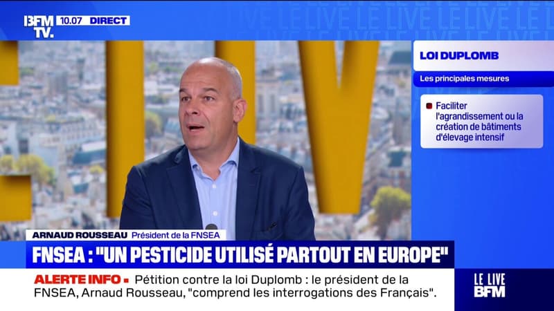 Loi Duplomb: Arnaud Rousseau (FNSEA) dénonce une 