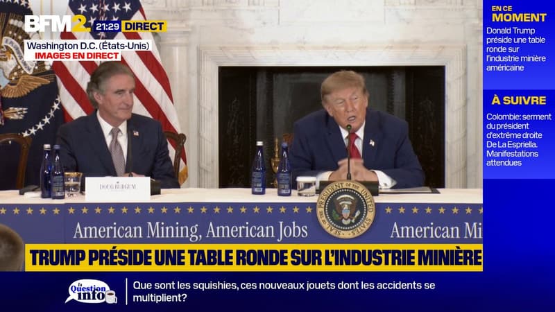 "Nous produisons plus de prétrole que la Russie et l'Arabie saoudite réunies", affirme Donald Trump
