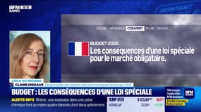 L'éco du monde : Le budget 2026 français, vers une loi spéciale ? - 22/12