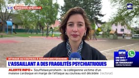 Agression près d'une école à Souffelweyersheim: l'assaillant a des fragilités psychiatriques