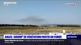 Bouches-du-Rhône: 5000 m2 de végétation partis en fumée dans un incendie à Arles
