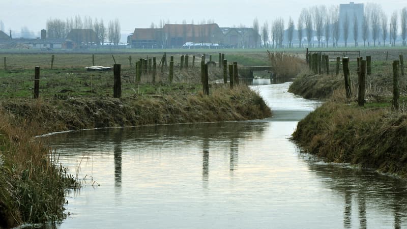 Les wateringues dans le secteur des Moëres (illustration)

