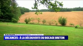 Vacances: à la découverte du bocage breton pour un retour au vert 
