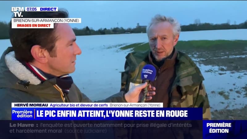 Crues dans l'Yonne: submergé, le terrain de cet agriculteur ne sera pas exploitable avant 